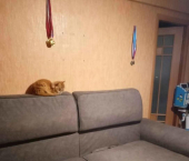 2-комн, 44кв м, этаж 5/5 189-й квартал, 6